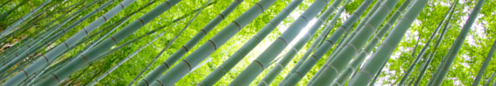 かき氷機についての記事紹介